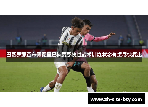 巴塞罗那宣布佩德里已恢复系统性战术训练状态有望尽快复出 巴塞罗那宣布佩德里已恢复系统性战术训练状态有望尽快复出